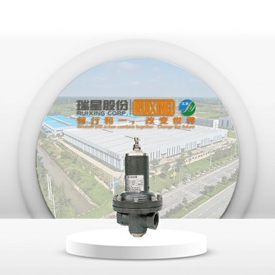 95高中压燃气调压器