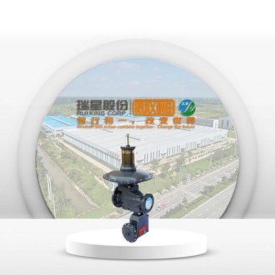 RTZ-*/0.8LQ系列燃气调压器